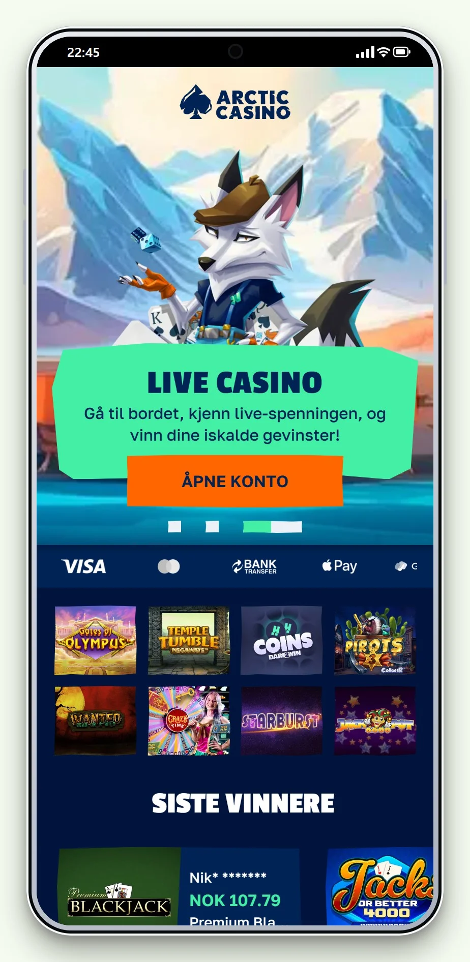 pay n play casinoer: forsiden til casinoet Arctic Casino